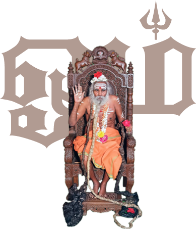 Sri Vellaiyananda Swami portrait