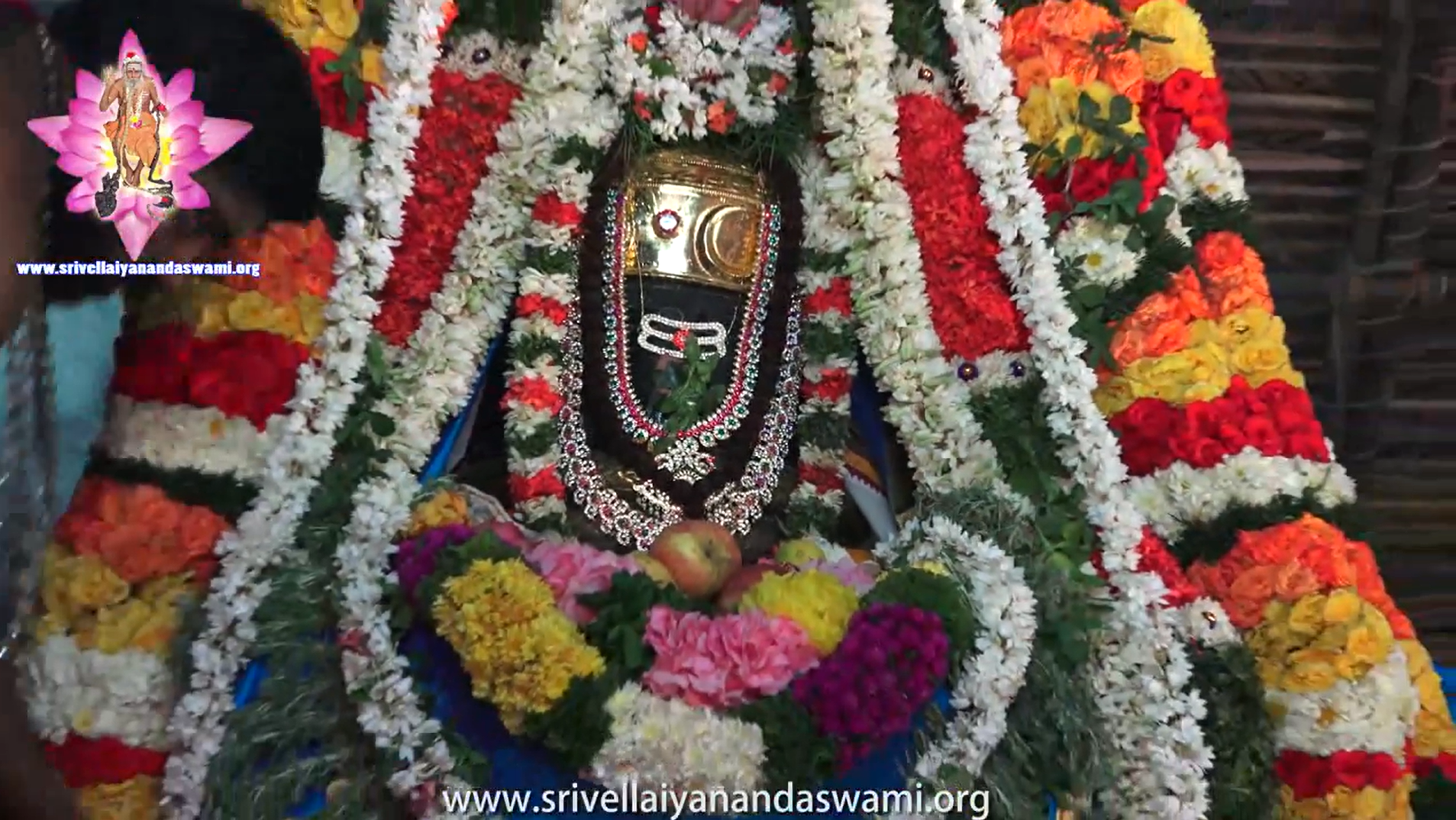 Jayanthi Video 2015