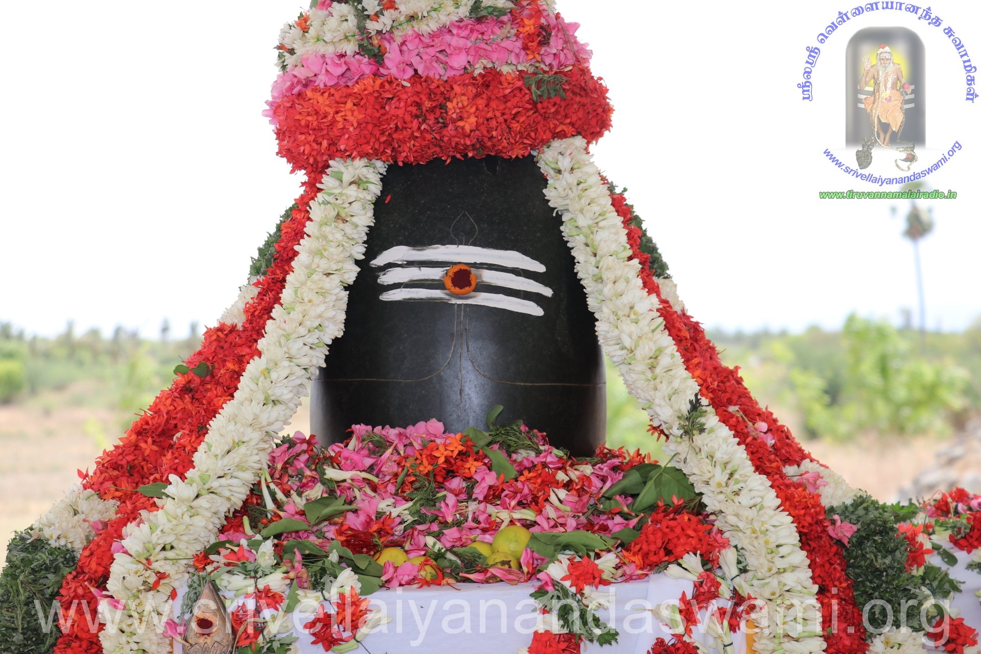 Aani Uthiram 2018