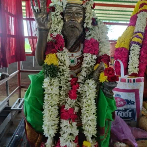 Panguni Uthiram photos  2026